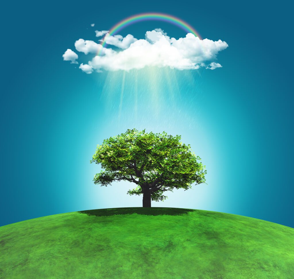 sonnenbeschienener, üppig grünender Baum steht unter einem Regenbogen und einer Regenwolke