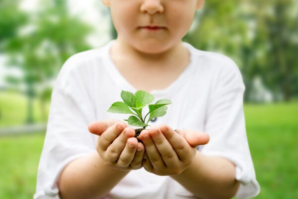 Kind hält Pflanze in den Händen